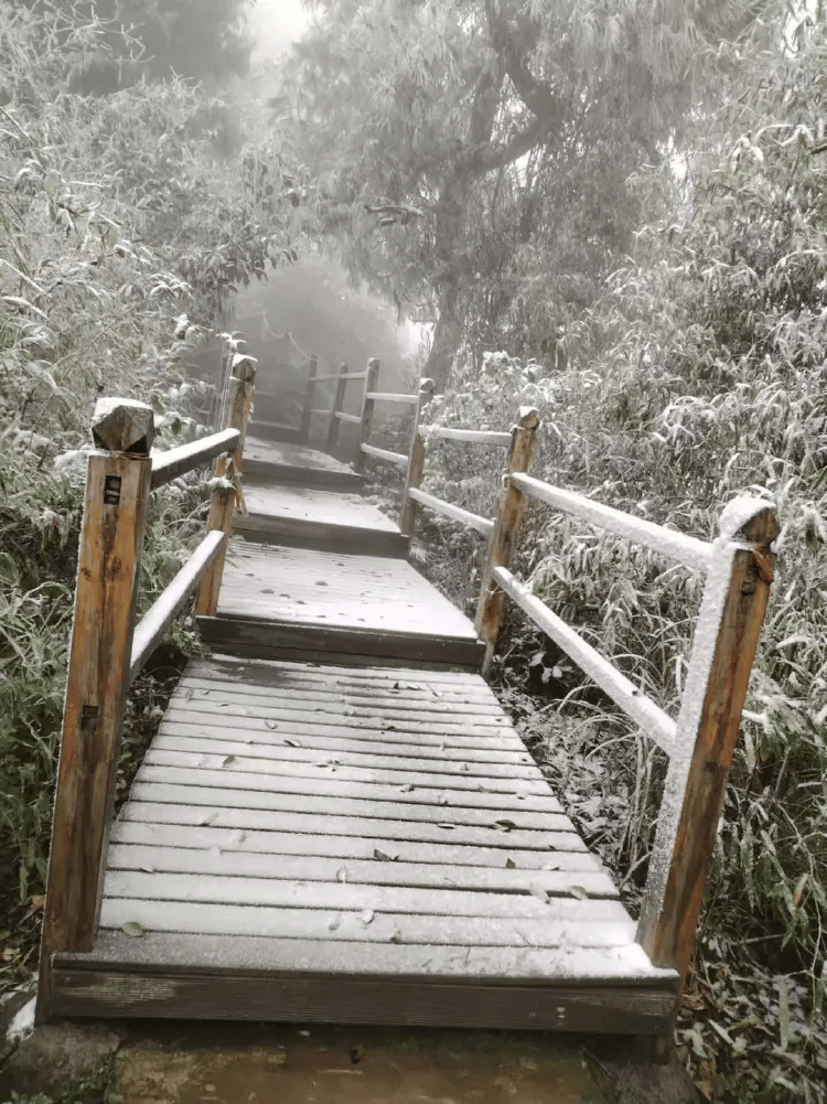 介绍个皇冠信用網网址_中心城区也下雪啦介绍个皇冠信用網网址！重庆明后天最低温仅-3℃