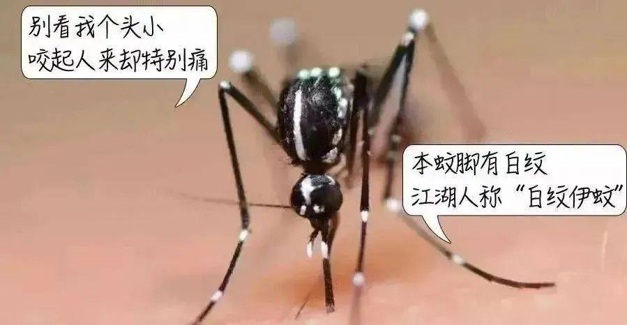 皇冠信用网登2代理
_风险增大皇冠信用网登2代理
！深圳疾控：去这247处要小心！张文宏首次发声